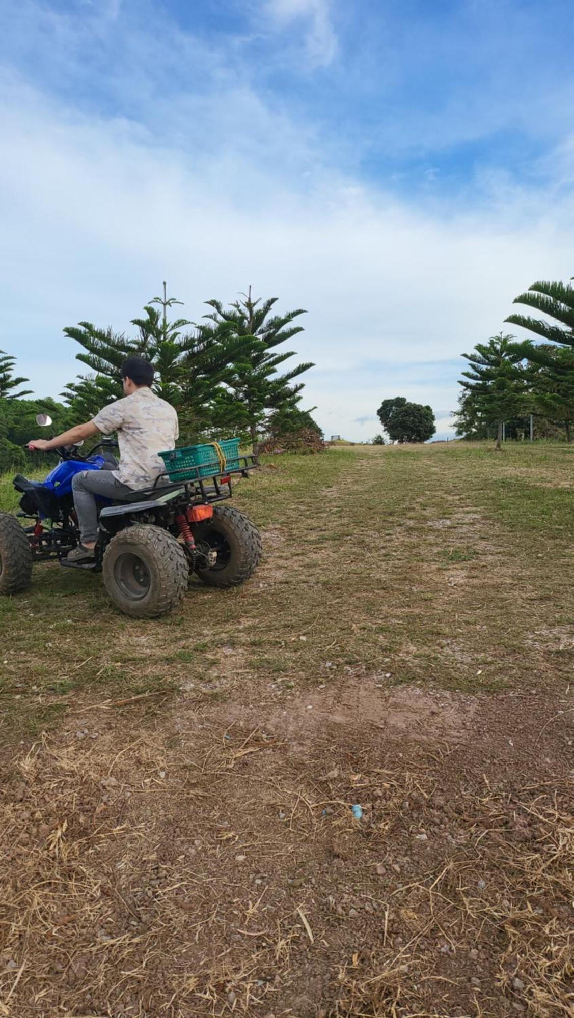 Smile Farm At Khaokho Hotel Ban Thung Samoe Bagian luar foto