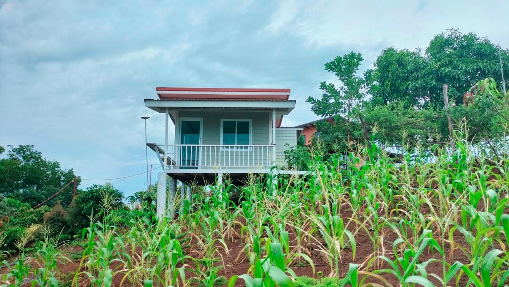 Smile Farm At Khaokho Hotel Ban Thung Samoe Bagian luar foto