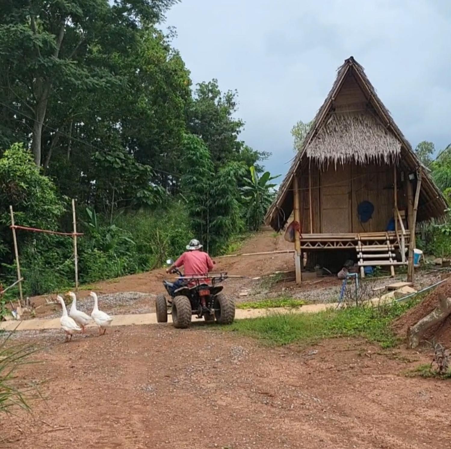 Smile Farm At Khaokho Hotel Ban Thung Samoe Bagian luar foto